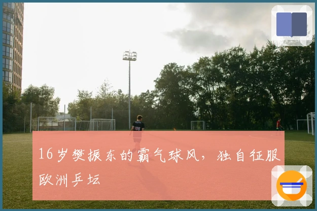 16岁樊振东的霸气球风，独自征服欧洲乒坛