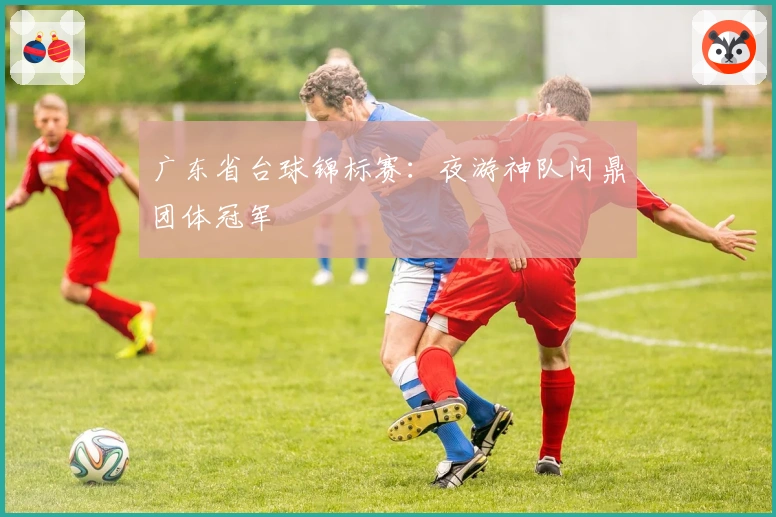 广东省台球锦标赛：夜游神队问鼎团体冠军