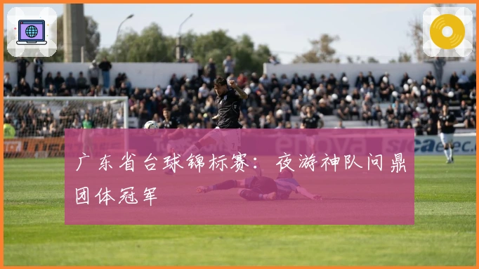 广东省台球锦标赛：夜游神队问鼎团体冠军