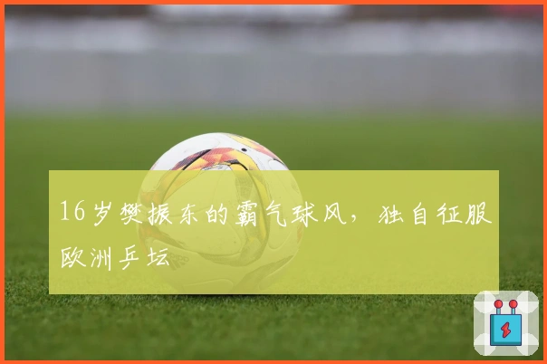 16岁樊振东的霸气球风,独自征服欧洲乒坛